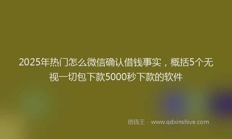 2025年热门怎么微信确认借钱事实，概括5个无视一切包下款5000秒下款的软件