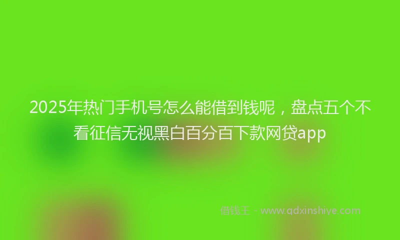 2025年热门手机号怎么能借到钱呢，盘点五个不看征信无视黑白百分百下款网贷app