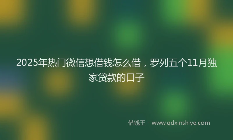 2025年热门微信想借钱怎么借，罗列五个11月独家贷款的口子