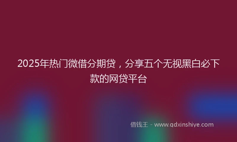 2025年热门微借分期贷，分享五个无视黑白必下款的网贷平台