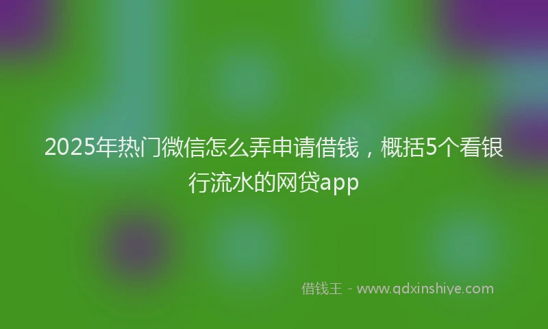 2025年热门微信怎么弄申请借钱，概括5个看银行流水的网贷app