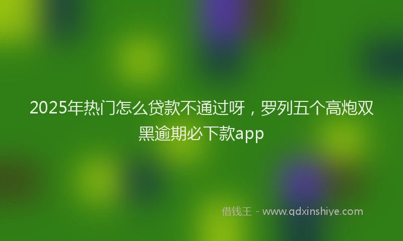 2025年热门怎么贷款不通过呀，罗列五个高炮双黑逾期必下款app