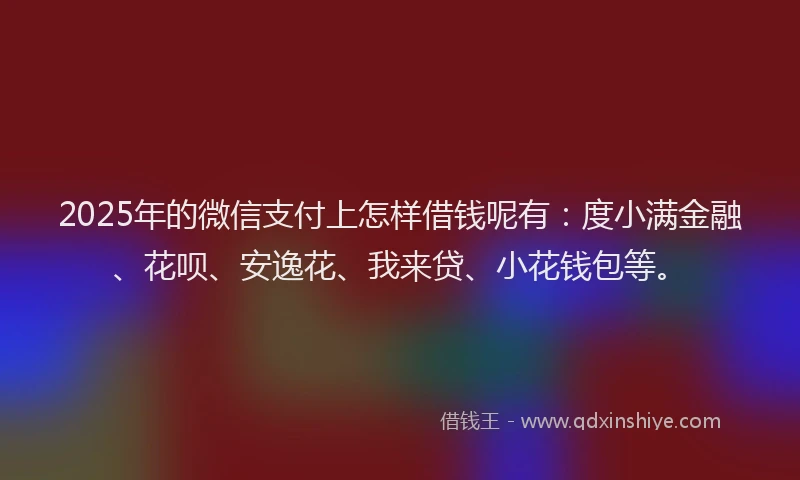 2025年的微信支付上怎样借钱呢有：度小满金融、花呗、安逸花、我来贷、小花钱包等。
