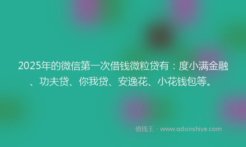 2025年的微信第一次借钱微粒贷有：度小满金融、功夫贷、你我贷、安逸花、小花钱包等。