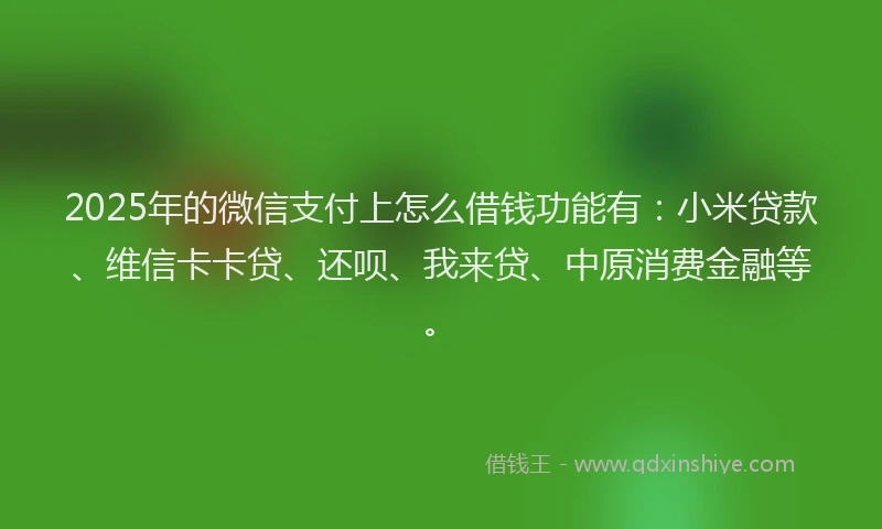 2025年的微信支付上怎么借钱功能有：小米贷款、维信卡卡贷、还呗、我来贷、中原消费金融等。