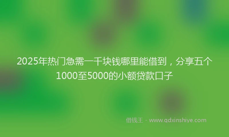 2025年热门急需一千块钱哪里能借到，分享五个1000至5000的小额贷款口子