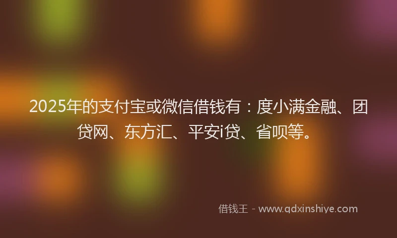 2025年的支付宝或微信借钱有：度小满金融、团贷网、东方汇、平安i贷、省呗等。