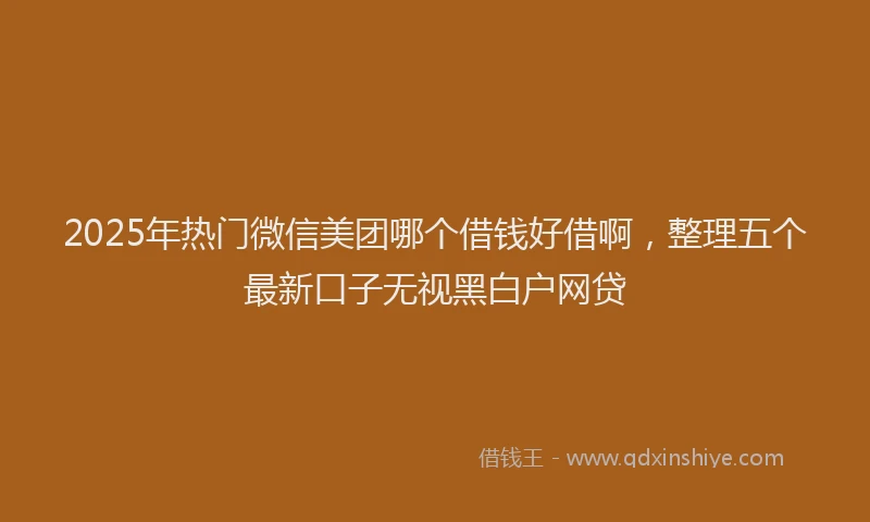 2025年热门微信美团哪个借钱好借啊，整理五个最新口子无视黑白户网贷