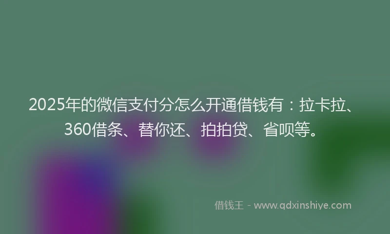 2025年的微信支付分怎么开通借钱有：拉卡拉、360借条、替你还、拍拍贷、省呗等。