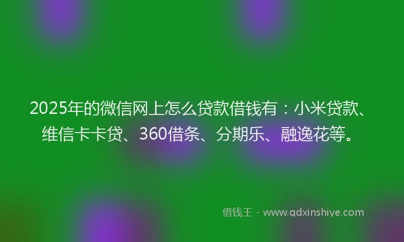 2025年的微信网上怎么贷款借钱有：小米贷款、维信卡卡贷、360借条、分期乐、融逸花等。
