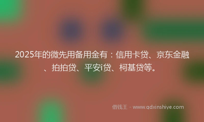 2025年的微先用备用金有：信用卡贷、京东金融、拍拍贷、平安i贷、柯基贷等。