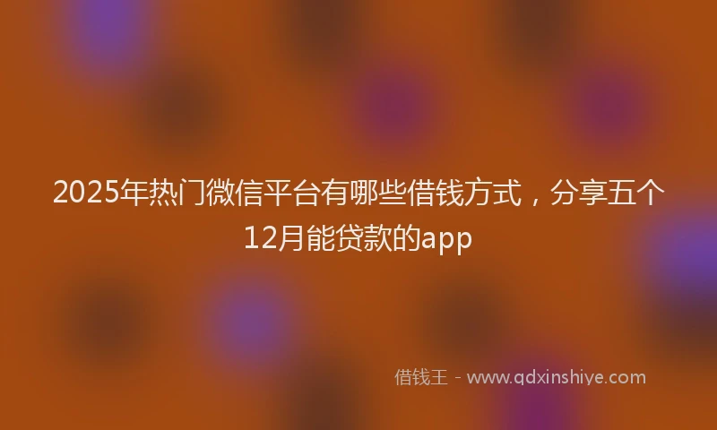 2025年热门微信平台有哪些借钱方式，分享五个12月能贷款的app