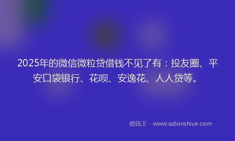 2025年的微信微粒贷借钱不见了有：投友圈、平安口袋银行、花呗、安逸花、人人贷等。