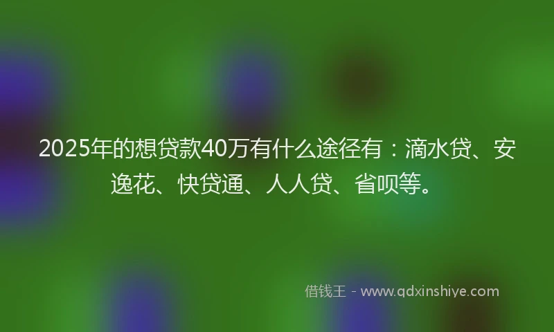 2025年的想贷款40万有什么途径有：滴水贷、安逸花、快贷通、人人贷、省呗等。
