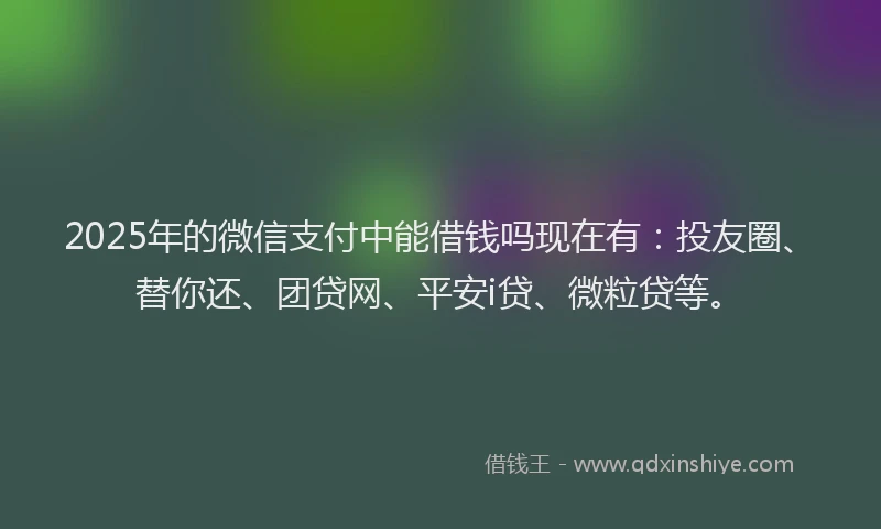 2025年的微信支付中能借钱吗现在有:投友圈、替你还、团贷网、平安i贷、微粒贷等。
