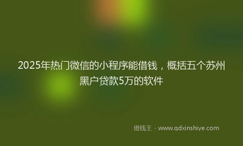 2025年热门微信的小程序能借钱，概括五个苏州黑户贷款5万的软件