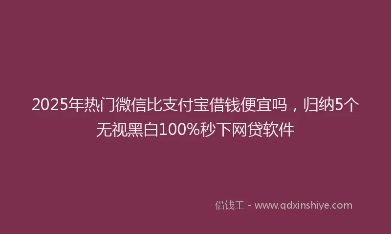 2025年热门微信比支付宝借钱便宜吗，归纳5个无视黑白100%秒下网贷软件