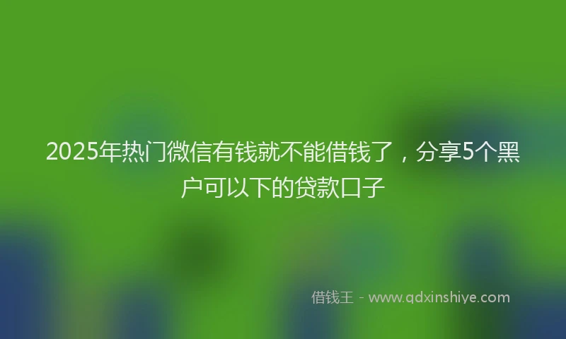 2025年热门微信有钱就不能借钱了，分享5个黑户可以下的贷款口子