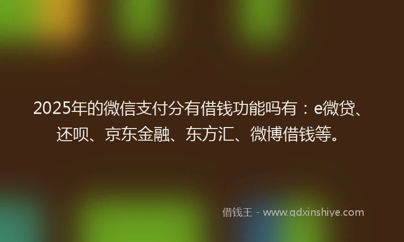 2025年的微信支付分有借钱功能吗有：e微贷、还呗、京东金融、东方汇、微博借钱等。