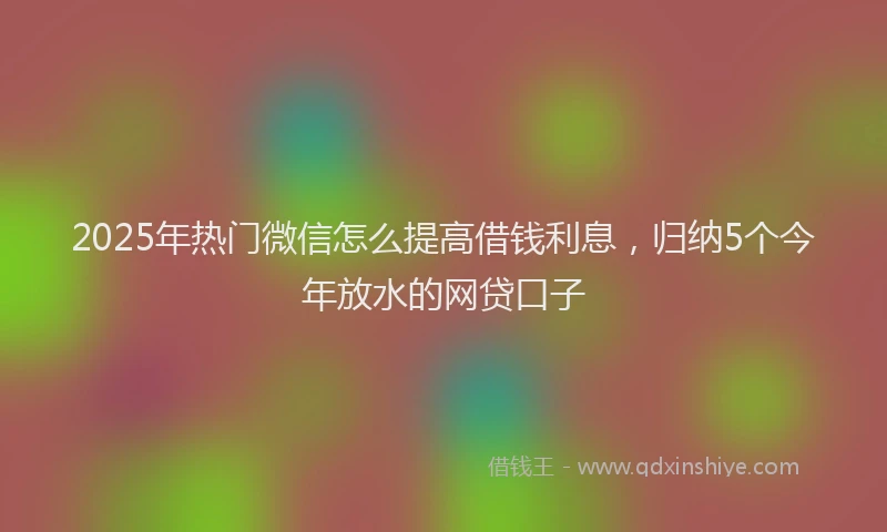 2025年热门微信怎么提高借钱利息，归纳5个今年放水的网贷口子