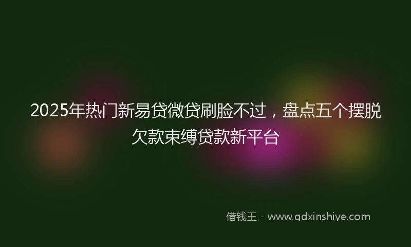 2025年热门新易贷微贷刷脸不过，盘点五个摆脱欠款束缚贷款新平台