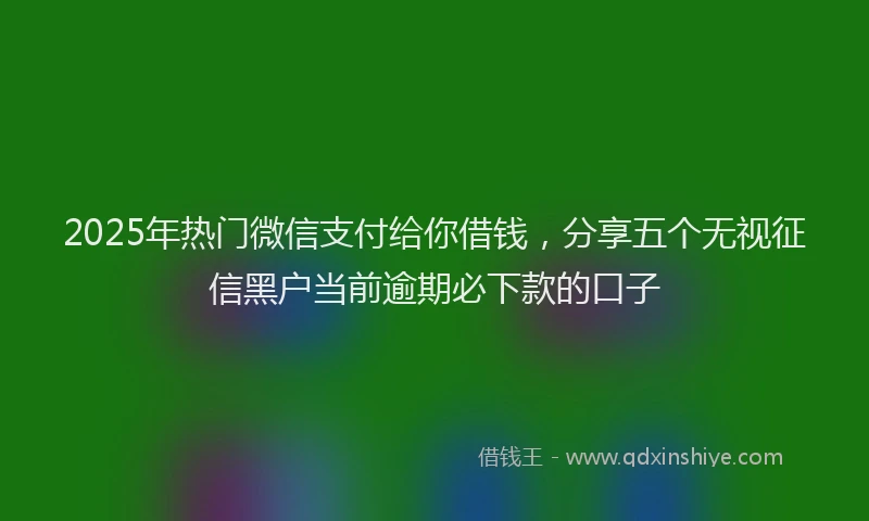 2025年热门微信支付给你借钱，分享五个无视征信黑户当前逾期必下款的口子