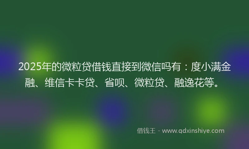 2025年的微粒贷借钱直接到微信吗有：度小满金融、维信卡卡贷、省呗、微粒贷、融逸花等。