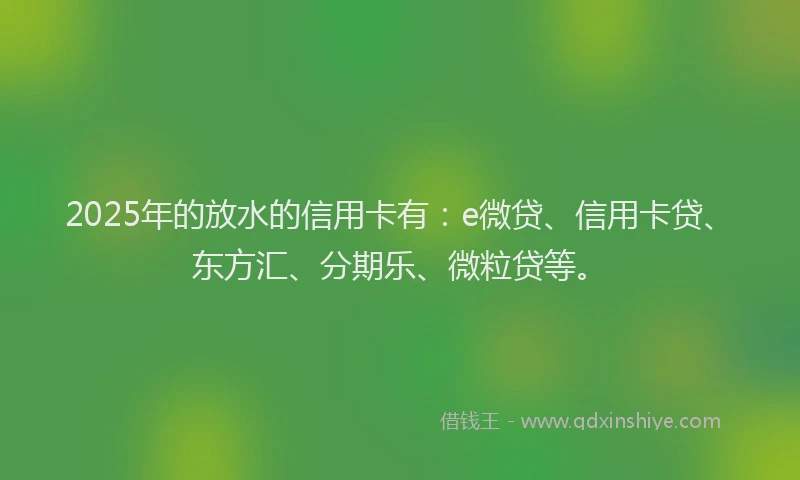 2025年的放水的信用卡有：e微贷、信用卡贷、东方汇、分期乐、微粒贷等。