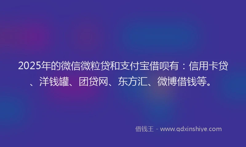 2025年的微信微粒贷和支付宝借呗有：信用卡贷、洋钱罐、团贷网、东方汇、微博借钱等。