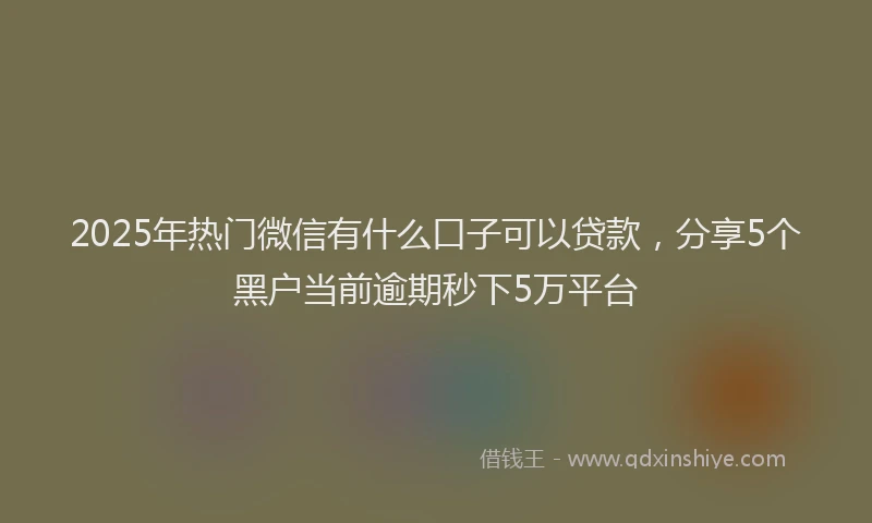 2025年热门微信有什么口子可以贷款，分享5个黑户当前逾期秒下5万平台