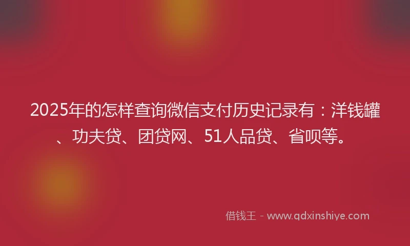 2025年的怎样查询微信支付历史记录有：洋钱罐、功夫贷、团贷网、51人品贷、省呗等。