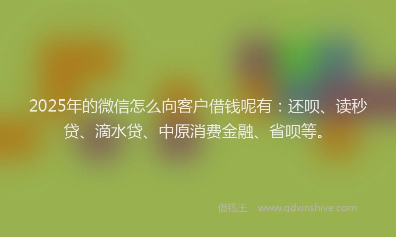 2025年的微信怎么向客户借钱呢有：还呗、读秒贷、滴水贷、中原消费金融、省呗等。