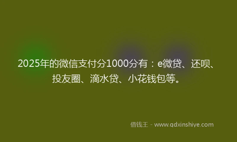 2025年的微信支付分1000分有：e微贷、还呗、投友圈、滴水贷、小花钱包等。
