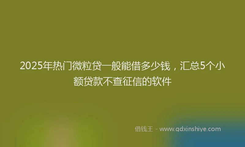 2025年热门微粒贷一般能借多少钱，汇总5个小额贷款不查征信的软件