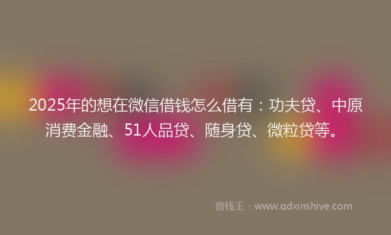 2025年的想在微信借钱怎么借有：功夫贷、中原消费金融、51人品贷、随身贷、微粒贷等。