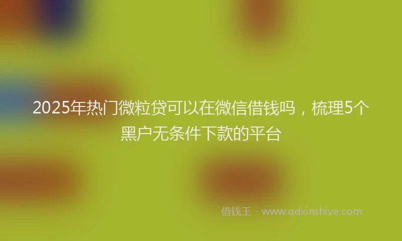 2025年热门微粒贷可以在微信借钱吗，梳理5个黑户无条件下款的平台