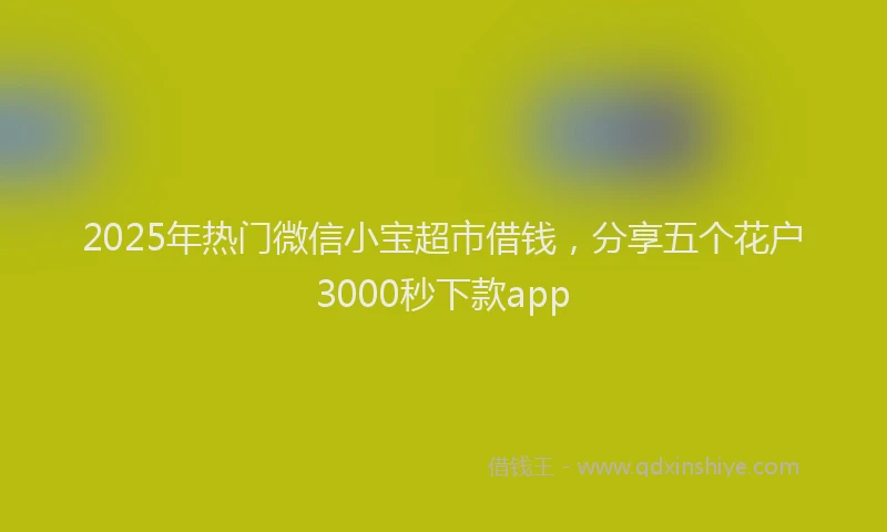 2025年热门微信小宝超市借钱，分享五个花户3000秒下款app