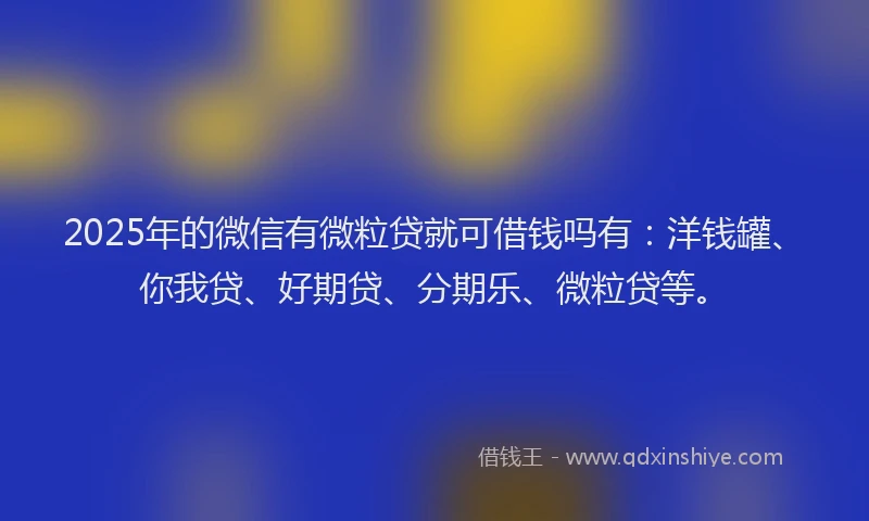 2025年的微信有微粒贷就可借钱吗有：洋钱罐、你我贷、好期贷、分期乐、微粒贷等。