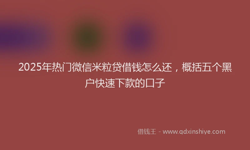 2025年热门微信米粒贷借钱怎么还，概括五个黑户快速下款的口子