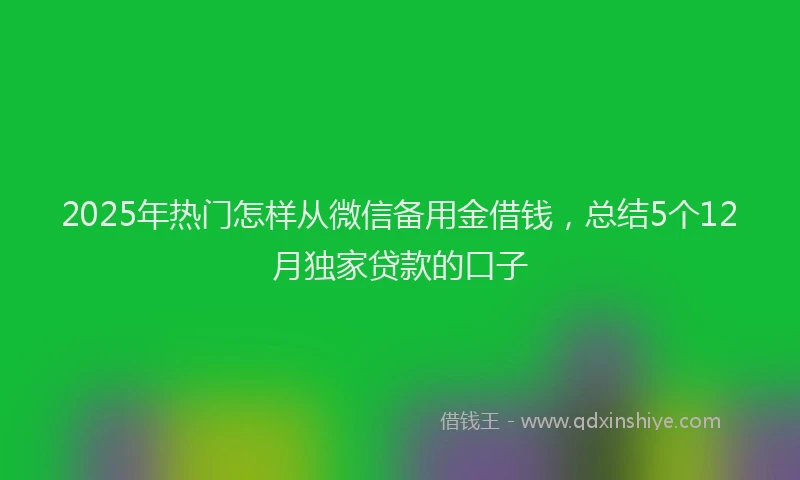 2025年热门怎样从微信备用金借钱，总结5个12月独家贷款的口子