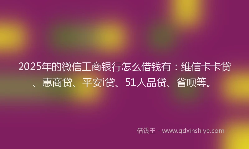 2025年的微信工商银行怎么借钱有：维信卡卡贷、惠商贷、平安i贷、51人品贷、省呗等。