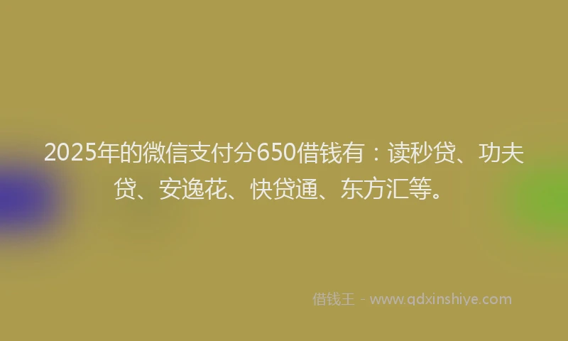 2025年的微信支付分650借钱有：读秒贷、功夫贷、安逸花、快贷通、东方汇等。