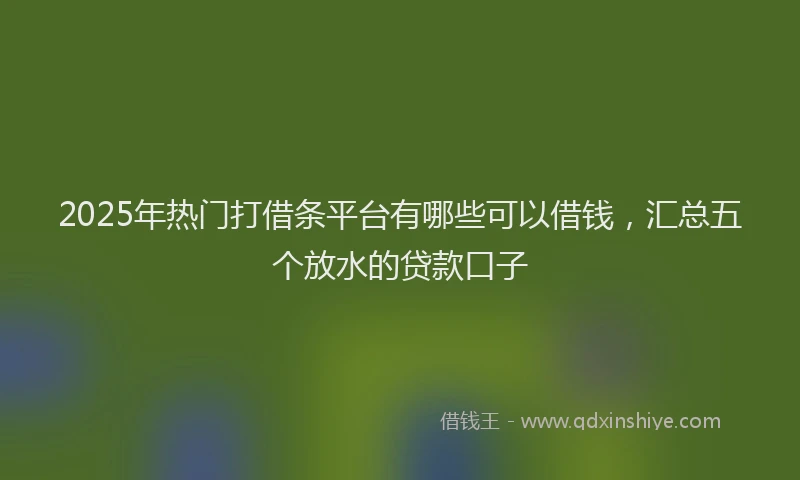 2025年热门打借条平台有哪些可以借钱，汇总五个放水的贷款口子