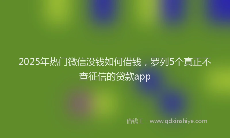 2025年热门微信没钱如何借钱，罗列5个真正不查征信的贷款app