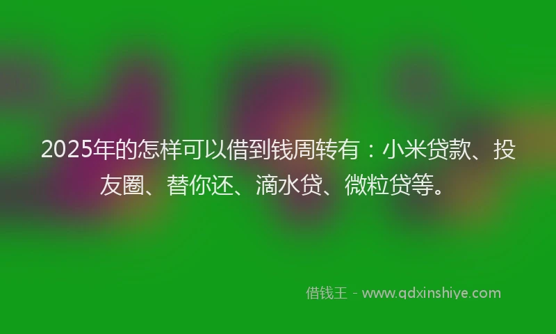 2025年的怎样可以借到钱周转有：小米贷款、投友圈、替你还、滴水贷、微粒贷等。