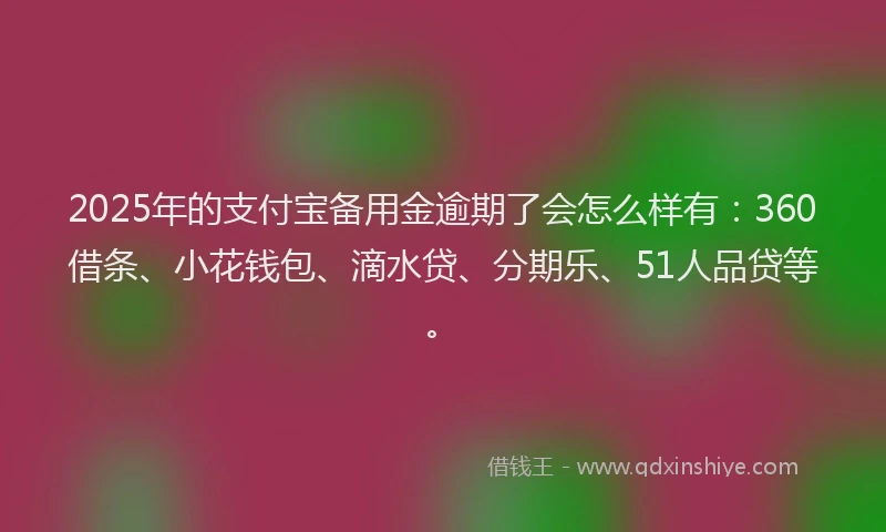 2025年的支付宝备用金逾期了会怎么样有：360借条、小花钱包、滴水贷、分期乐、51人品贷等。