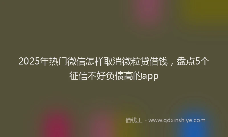 2025年热门微信怎样取消微粒贷借钱，盘点5个征信不好负债高的app