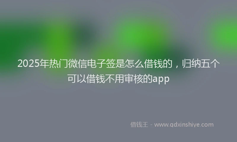 2025年热门微信电子签是怎么借钱的，归纳五个可以借钱不用审核的app