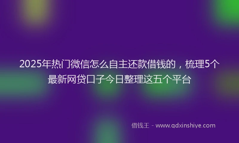 2025年热门微信怎么自主还款借钱的，梳理5个最新网贷口子今日整理这五个平台