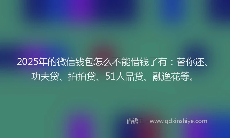 2025年的微信钱包怎么不能借钱了有：替你还、功夫贷、拍拍贷、51人品贷、融逸花等。